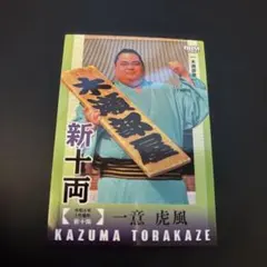 Item thumbnail for item ee8d2f84-065c-4759-bf20-e318ab053fa0