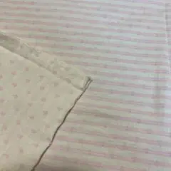 Item thumbnail for item b4b97a2c-9a2a-42ec-a88c-0fe976f045dd