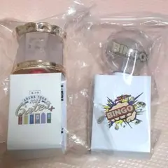 2024アリーナツアー　Hi美　ペンライト　セット