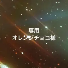 専用ページ オレンジチョコ様1/23