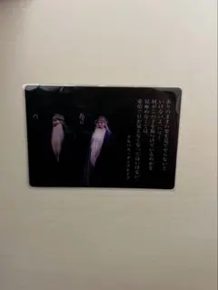 舞台　ハリポタ　呪いの子　ハリーポッター　クリアカード　特典