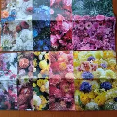 Item thumbnail for item 677fe1ae-eaaf-47a1-9428-cd904603c5ae