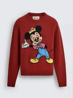即完売‼️ZARA×Disney ドナルド　カーディガン⭐️Mサイズ新品未使用 新品未使用 ZARAディズニー ドナルドダック カーディガン Sサイズ