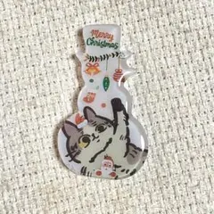 2582. レジンポニーフック・ヘアゴム・ブローチ・マグネット