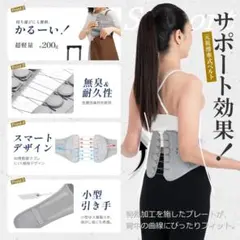 Allgu(オールグー) 【発明製造元】 滑車式骨盤ベルト Lサイズ