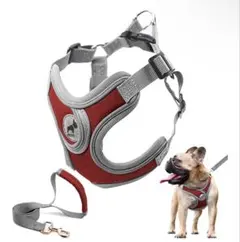 Item thumbnail for item 9558f8ef-bf86-4c86-a539-9d317a65ce54