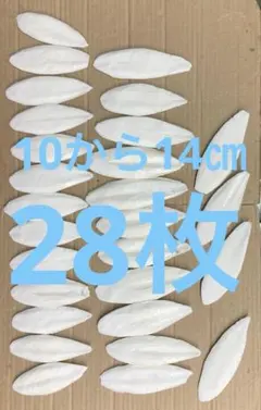 明石産いかの甲羅 カルトボーン カットルボーン カトルボーン 28枚のサムネイル