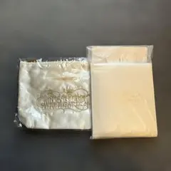 Item thumbnail for item 4d3ab13c-bc6c-4c35-8d44-4b1de106f56c