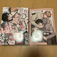 職場のイケメン営業は理想の飼い主様　2 特装版