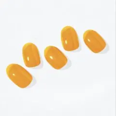 j*i様 ohora ジェルネイルシールNB-104 N TINT ORANGE