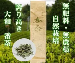 Item thumbnail for item ff7cec60-dbe7-4f18-b6d2-81b180ac8395