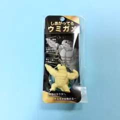 須磨シーワールド　しあがってるウミガメ キーホルダーのサムネイル