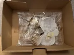 花　髪飾り　和　前撮り　結婚式