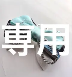 Item thumbnail for item 11262e3a-9d22-46fa-991d-d4d184b61aff