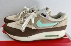 Nike Air Max 1 Premium 