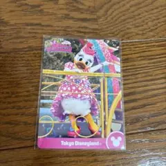 ディズニー　ミニーのファンダーランド コレクションカード　デイジー