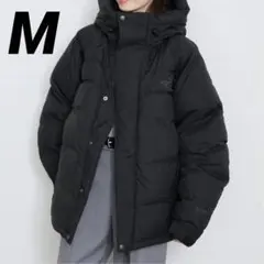 美品✨ノースフェイス オルタレーション バフズ ジャケット ゴアテックス