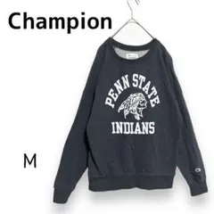 Champion チャンピオン 古着 スウェット トレーナー インディアン M