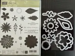 300【新品未使用】  スタンピンアップ    スタンプセット ダイ 2026年最新】スタンピンアップダイの人気アイテム - メルカリ