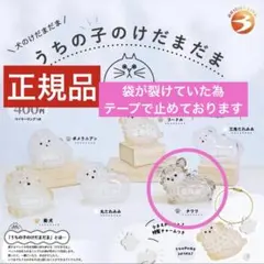 正規品　うちの子のけだまだま　犬　チワワ