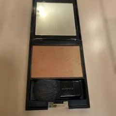 資生堂 メーキャップ ルミナイジング サテンフェースカラー PK107