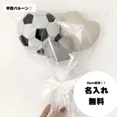 Item thumbnail for item df5fd0c0-4265-4384-938b-ab2776bbd22c