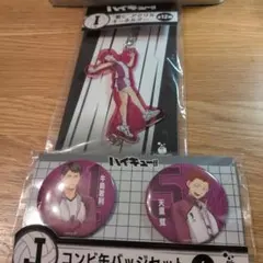 ハイキュー!! アクリルキーホルダー&缶バッジセット
