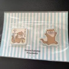 可愛い嘘のカワウソ マグネット ポストカード セット タイムセール 10/5まで