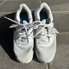 Item thumbnail for item 5006f535-5c49-4553-ab5f-e8f35f3166cf