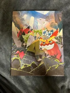 ポケモンカード　N コレクションファイル