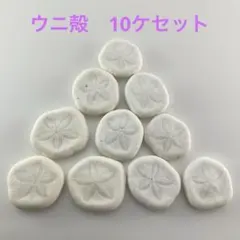 NO.34-48 サンドラー(ウニ殻) 10ケセット