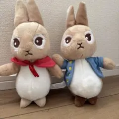 Item thumbnail for item 24d9a47a-2be3-498a-a91a-62d601b6366d