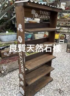 なおちゃん様 多肉植物棚 TD-88 変更あり 最近の多肉棚一挙公開！