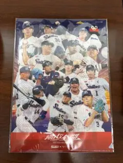 東京ヤクルトスワローズ 燕征全開 クリアファイル