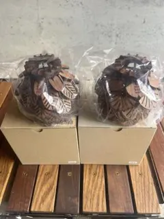 雪*り様 WHATWEWANT WWW KUMIKOSHADE ワットウィーウォ WHAT WE WANT ワットウィーウォント KUMIKOSHADE 神代