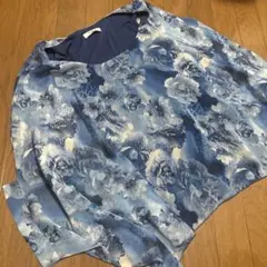 Item thumbnail for item d513a544-2002-4b05-a6e0-68d1a00265c4