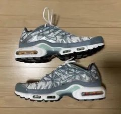 【希少】Nike Air Max Plus 値下げ