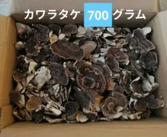 乾燥カワラタケ　700グラム　2026.5.1採取 2026年5月1日採取 乾燥カワラタケ 700グラム 福岡県田舎地方にて採取