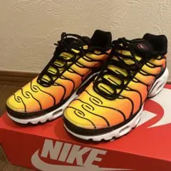 Nike Air Max Plus オレンジ/イエロー