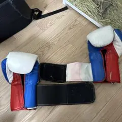 専用