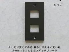SML SWITCH CONSENT PLATE 2連 ブラック