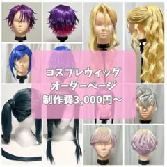 2026年最新】ウィッグ オーダーの人気アイテム - メルカリ