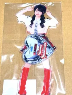 2026年最新】米村姫良々の人気アイテム - メルカリ