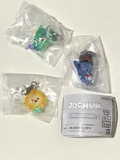 JOCHUM ジェオチャム めじるしアクセサリー1★4種セット