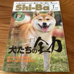Shi−Ba(シーバ) 2022年1月号