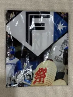 非売品 北海道日本ハムファイターズ エスコン限定 超夏はっぴ 法被