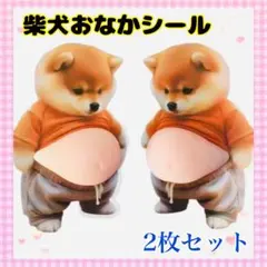 F11_ おなか シール 2枚セット ぷにぷに 柴犬 立体 3D スクイーズ