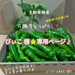 ぴぃこ様⭐️専用ページ♪のサムネイル