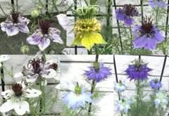 うさちゃんの88様 リクエスト 3点 まとめ商品