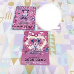 ディズニー リゾートライン　フリーきっぷ ミニー@ファンダーランド